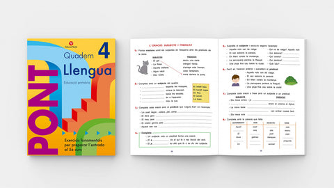 Pont llengua, 4 Educació Primària