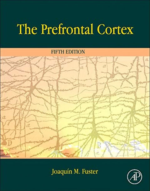  The prefrontal cortex 