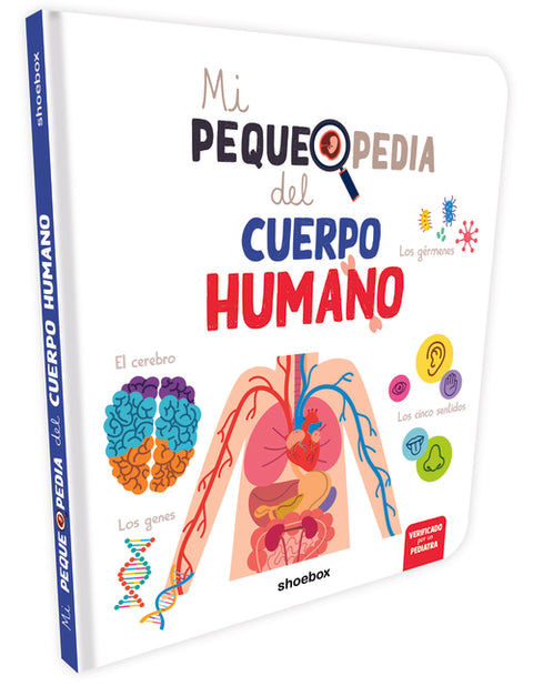  CUERPO HUMANO 