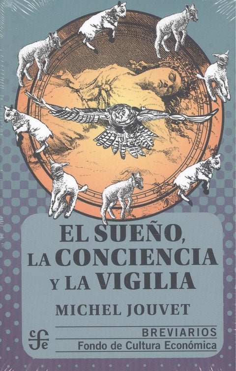  El sueño, la conciencia y la vigilia 