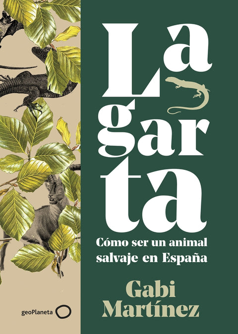  Lagarta 
