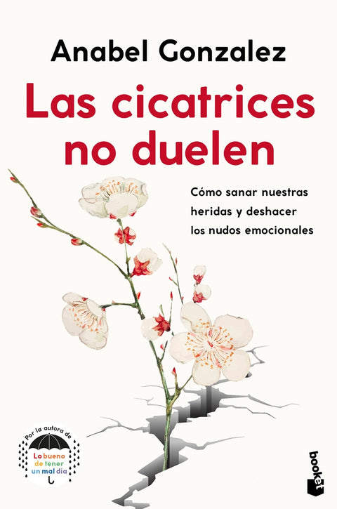  Las cicatrices no duelen 
