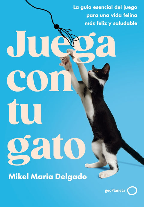  Juega con tu gato 
