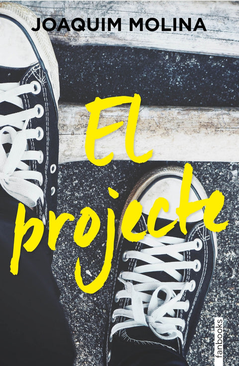  El projecte 