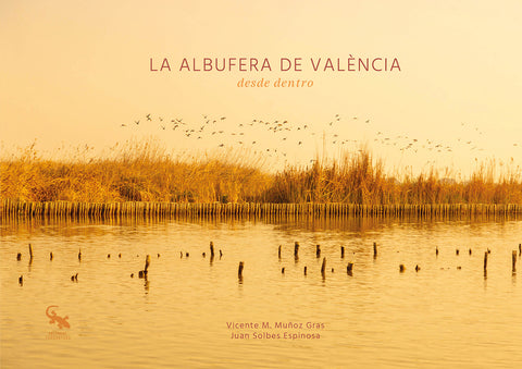  La albufera de València desde dentro 