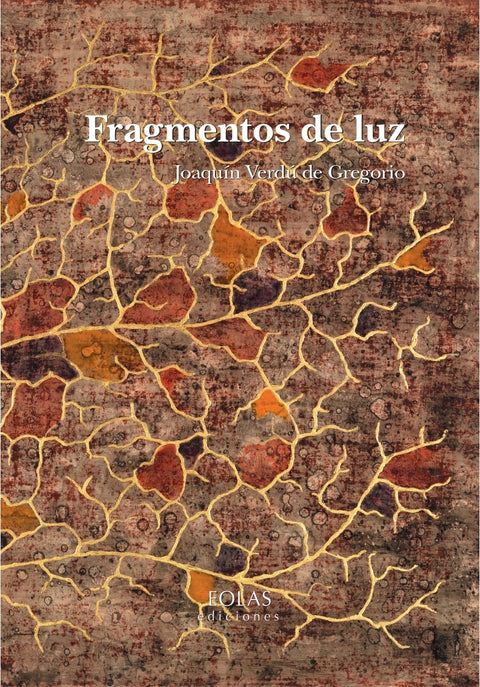  FRAGMENTOS DE LUZ 