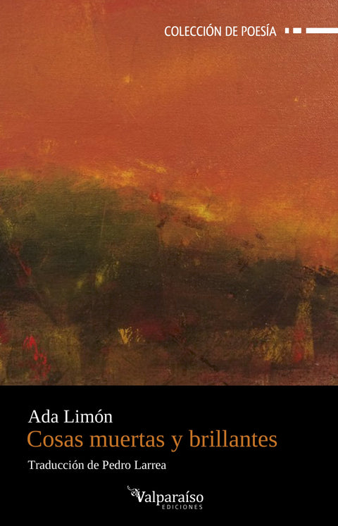  Cosas muertas y brillantes 