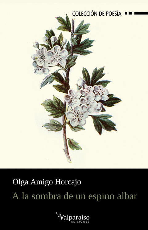  A la sombra de un espino albar 