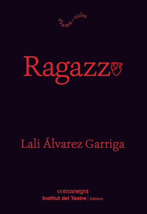 Ragazzo 