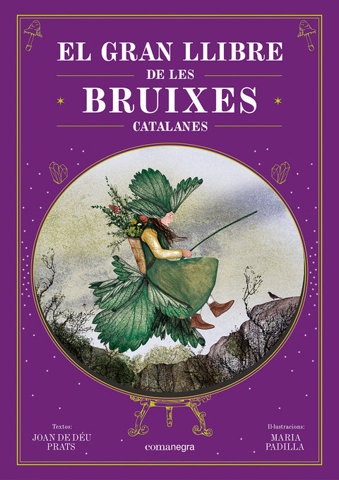  El gran llibre de les bruixes catalanes 