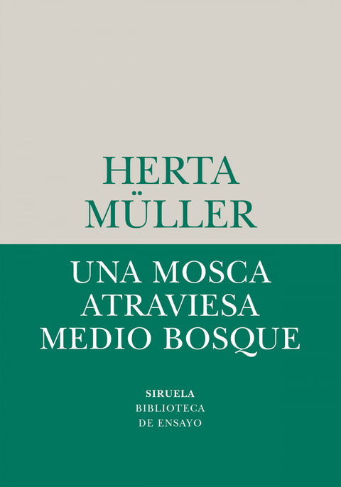  UNA MOSCA ATRAVIESA MEDIO BOSQUE 
