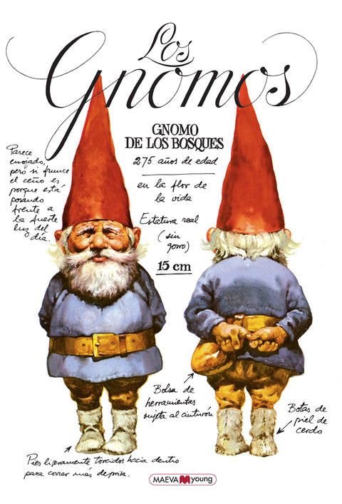  LOS GNOMOS 