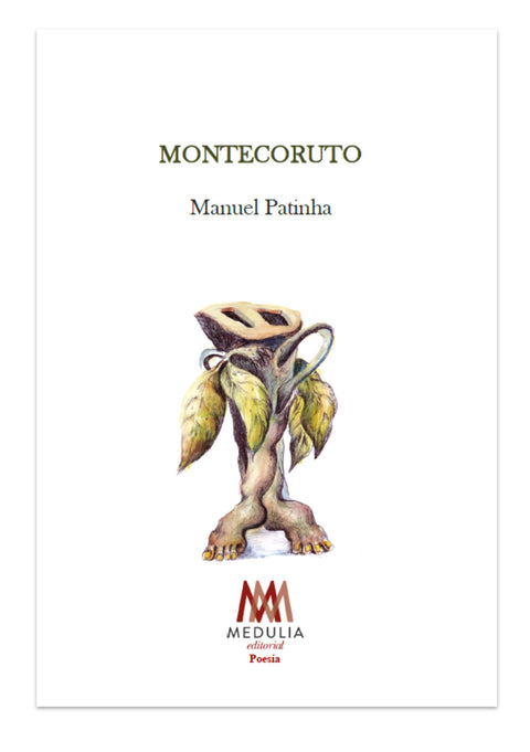  MONTECORUTO 
