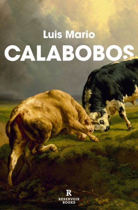  Calabobos 