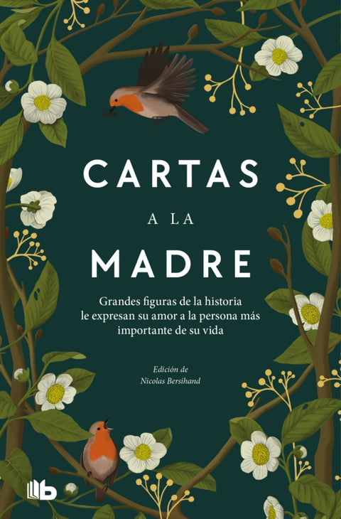  Cartas a la madre 