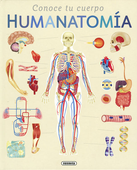  Humanatomía 