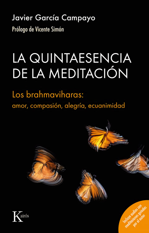  La quintaesencia de la meditación 