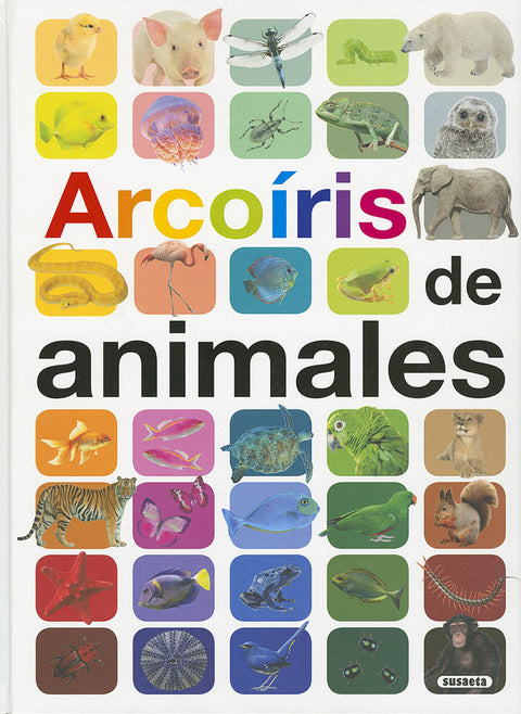 Arcoíris de animales 