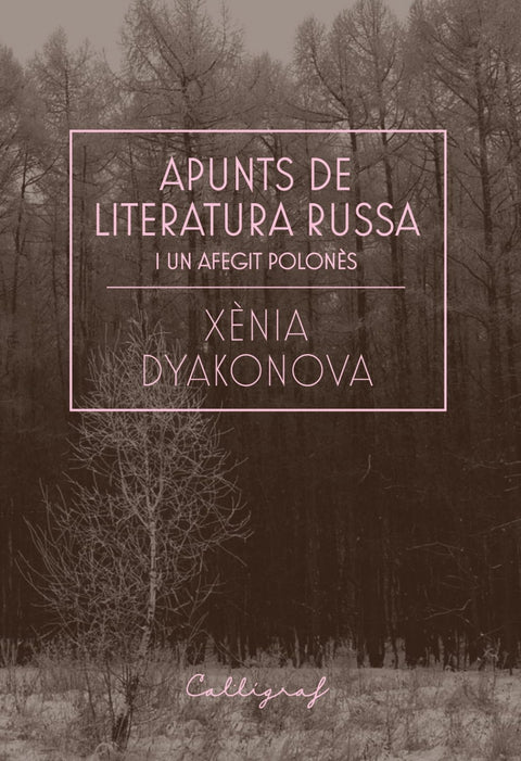  Apunts de literatura russa i un afegit polonès 
