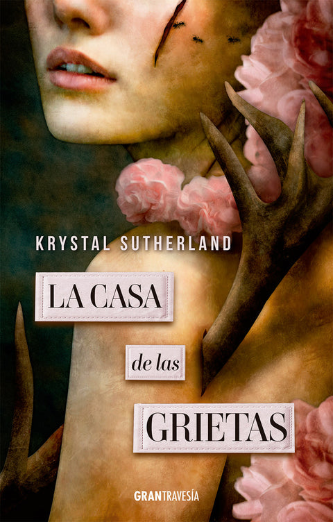  La casa de las grietas 
