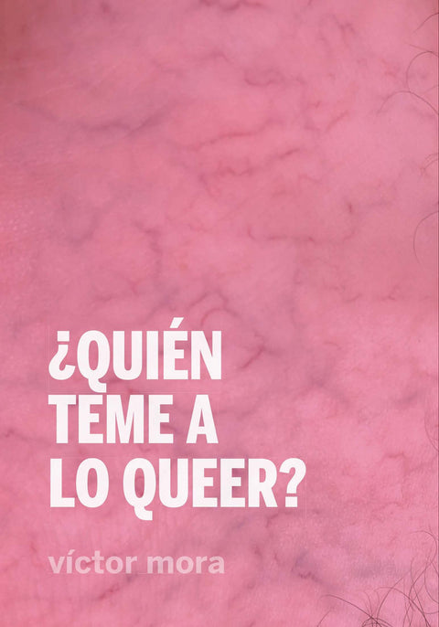 ¿Quién teme a lo queer? 