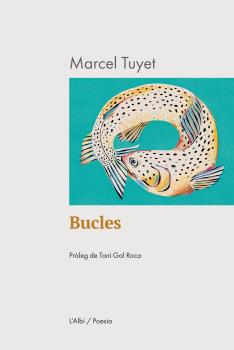  Bucles 