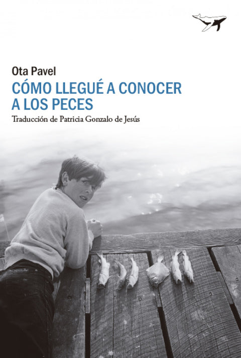  Como llegué a conocer a los peces 