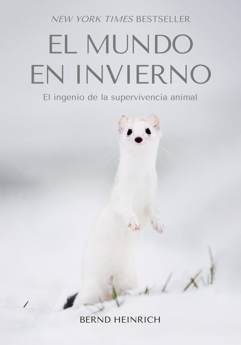  El Mundo en Invierno 