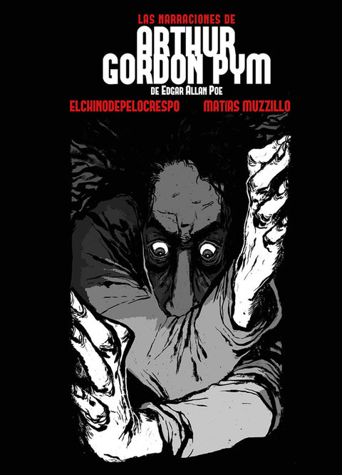  NARRACIONES DE ARTHUR GORDON PYM DE EDGAR ALLAN POE, LAS 
