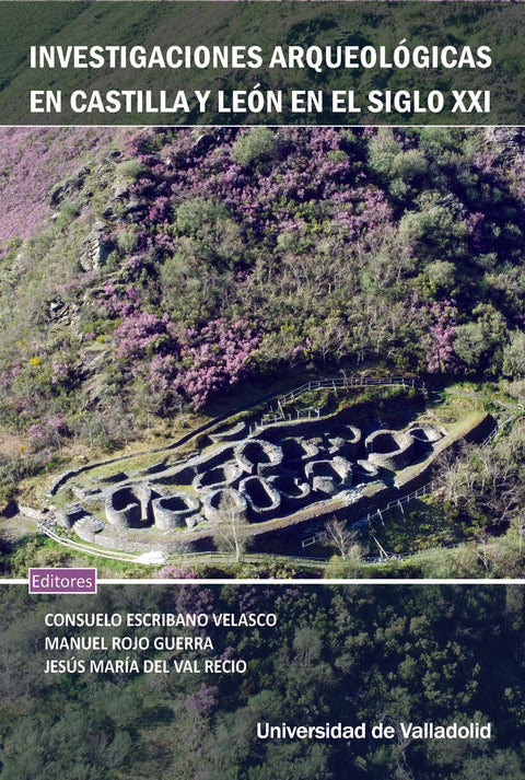  INVESTIGACIONES ARQUEOLÓGICAS EN CASTILLA Y LEÓN EN EL SIGLO XXI 