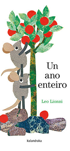  Un ano enteiro 