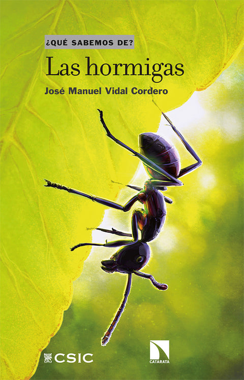  Las hormigas 
