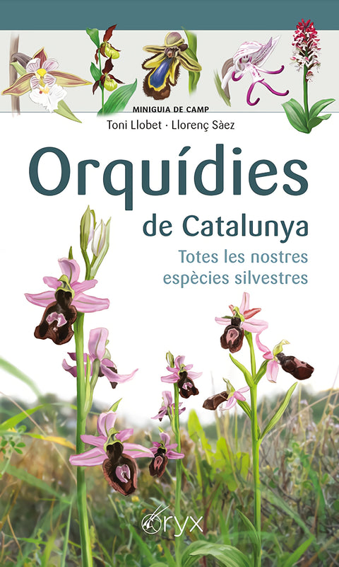  Orquídies de Catalunya 
