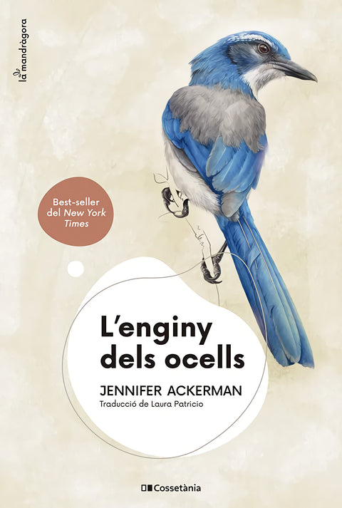  LENGINY DELS OCELLS 