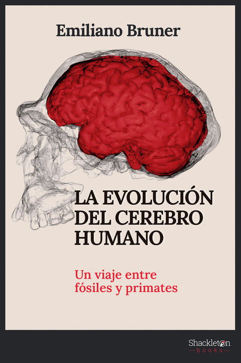  La evolución del cerebro humano 