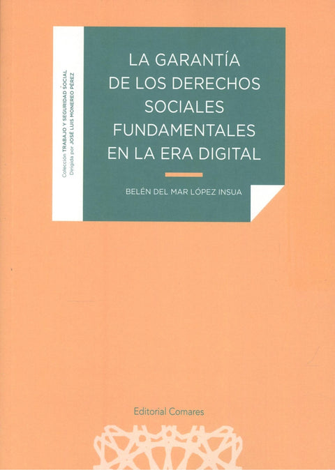  LA GARANTIA DE LOS DERECHOS SOCIALES FUNDAMENTALES EN LA ER 