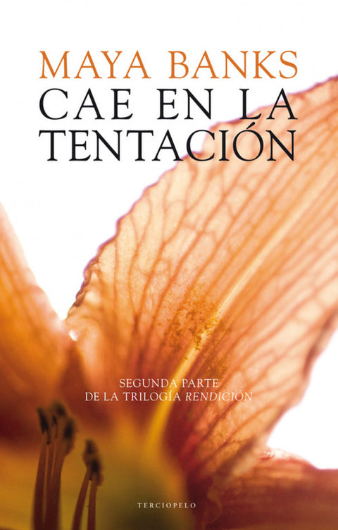  Cae en la tentación 