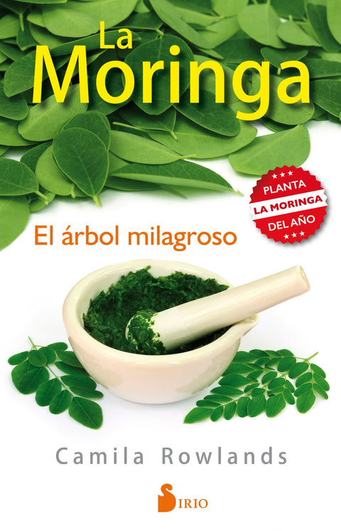  LA MORINGA 