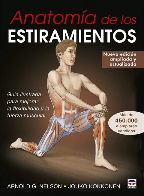 Anatomía de los estiramientos 