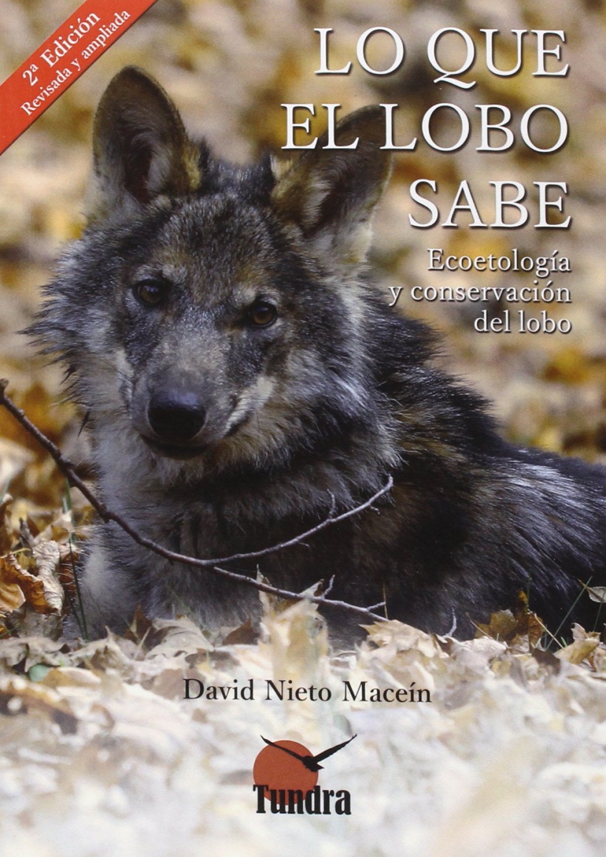  LO QUE EL LOBO SABE 