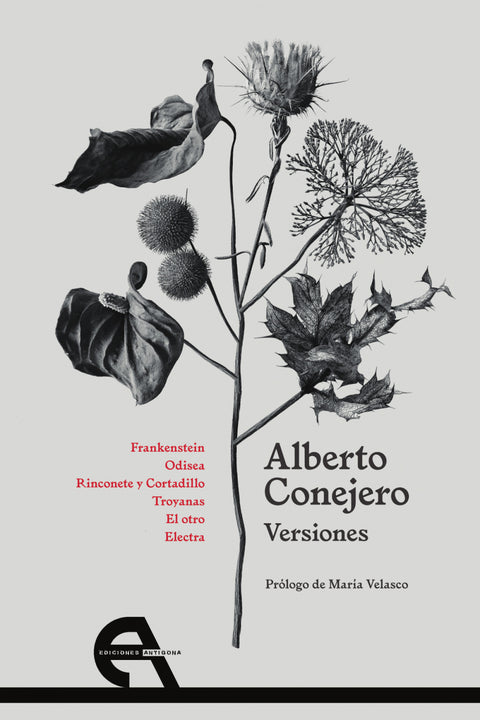  Versiones 