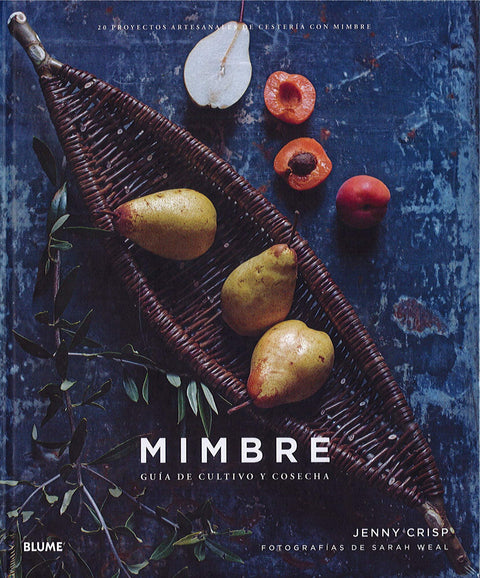  MIMBRE 