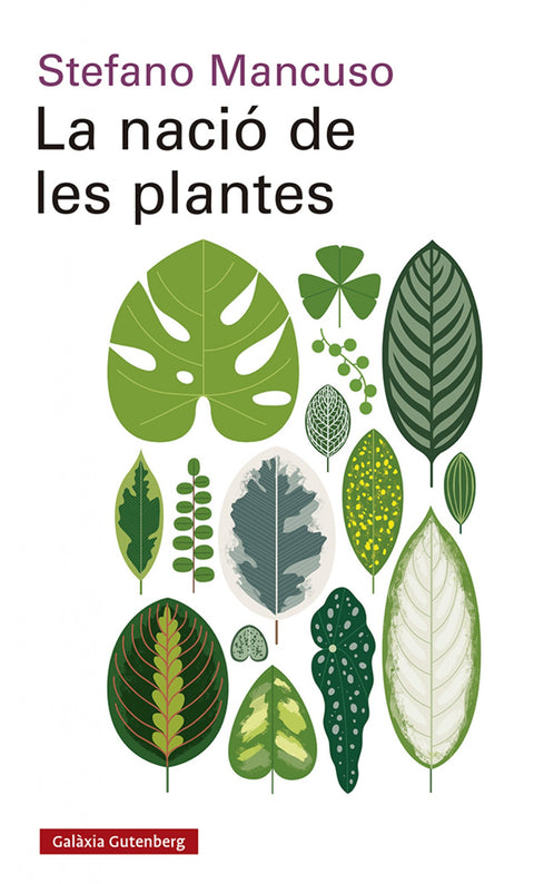  La nació de les plantes 