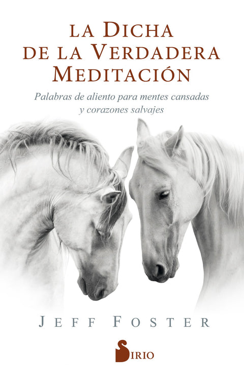  La dicha de la verdadera meditación 