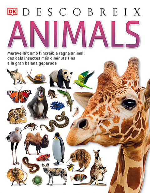  Animals, Descobreix 