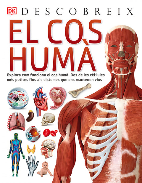  El cos humà, Descobreix 