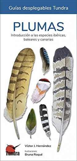  DESPLEGABLE PLUMAS 