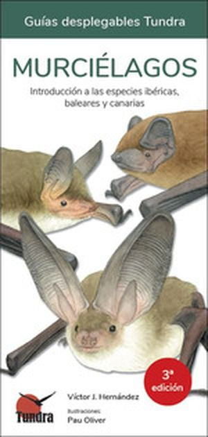  MURCIELAGOS 
