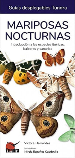  MARIPOSAS NOCTURNAS 