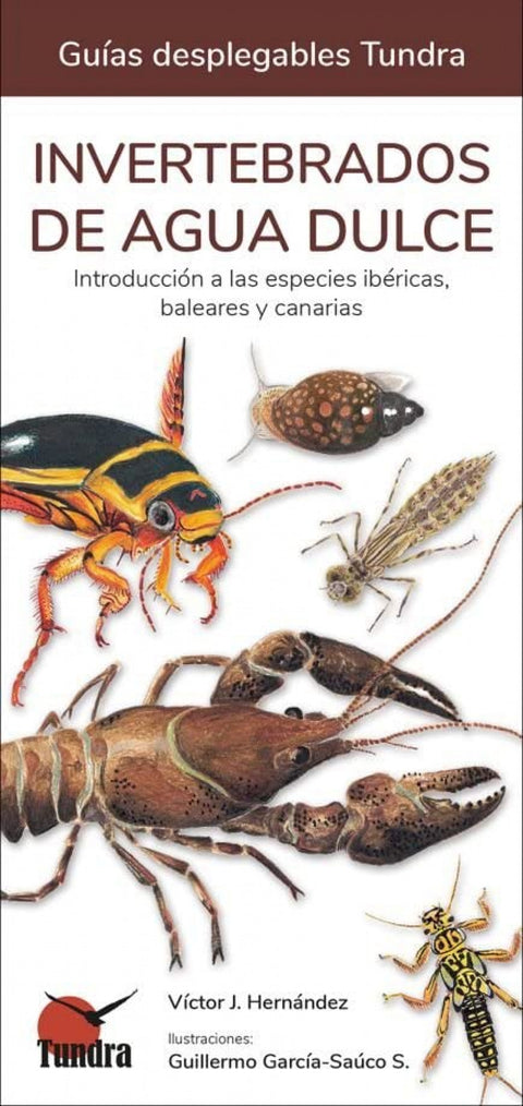  INVERTEBRADOS DE AGUA DULCE - GUIAS DESPLEGABLES TUNDRA 